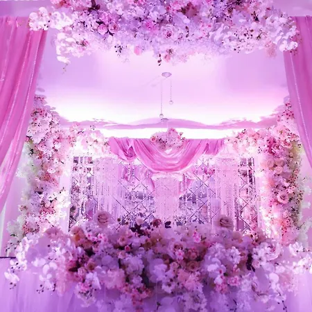 Complex Baroto Goze Deltschew