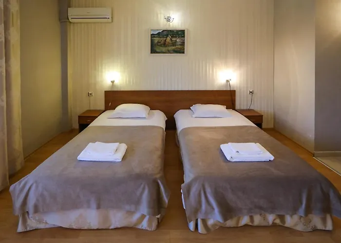 Complex Baroto Otel Nevrekop